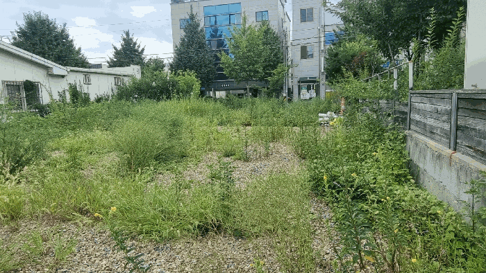 경북 포항시 북구 장성동 대지 경매 물건 사진 6 · 2025타경3973