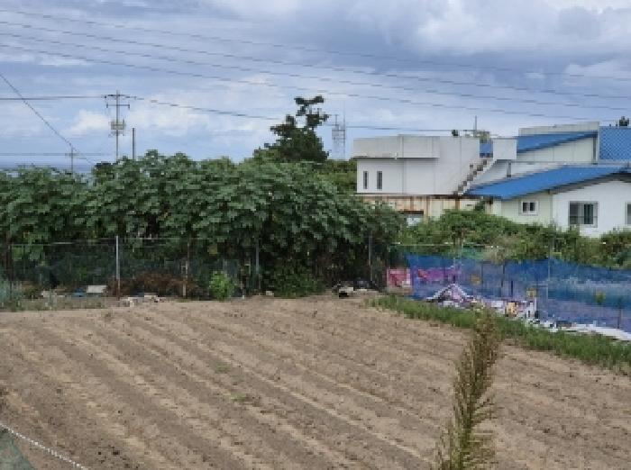 경북 포항시 북구 흥해읍 전 경매 물건 사진 2 · 2025타경4005