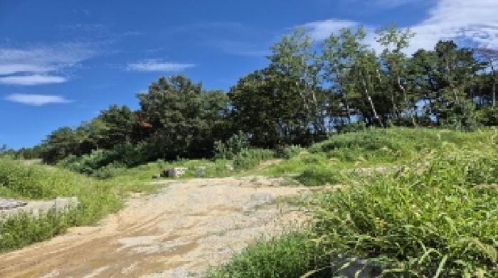 경북 포항시 북구 청하면 임야 경매 물건 사진 3 · 2025타경4007