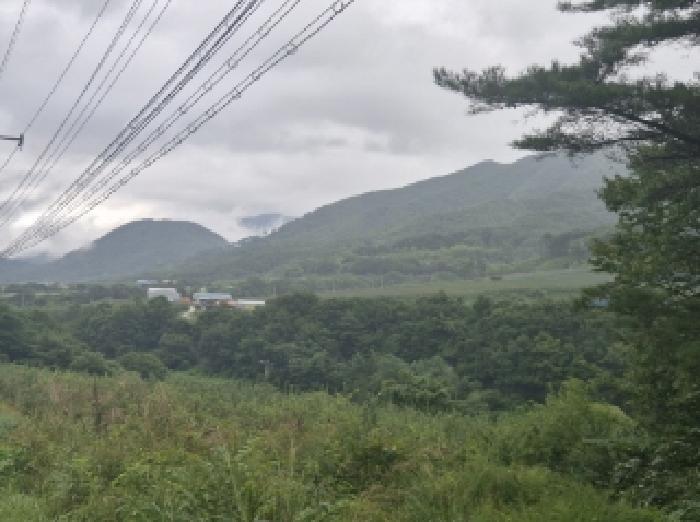 경북 포항시 북구 죽장면 전 경매 물건 사진