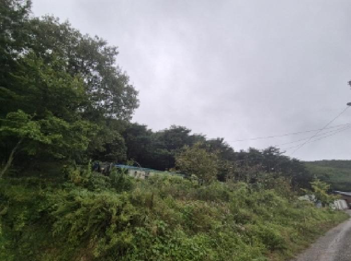 경북 포항시 북구 죽장면 전 경매 물건 사진 3 · 2025타경4030