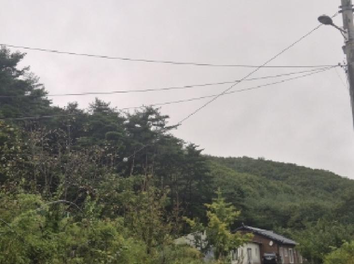 경북 포항시 북구 죽장면 전 경매 물건 사진 5 · 2025타경4030