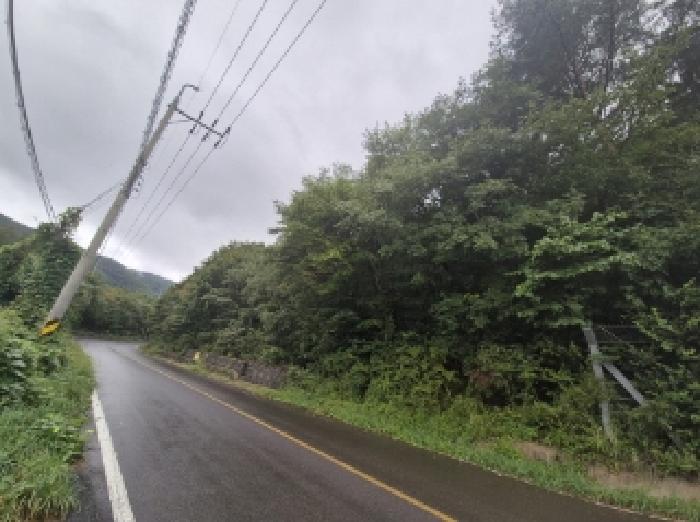경북 포항시 북구 죽장면 전 경매 물건 사진 6 · 2025타경4030