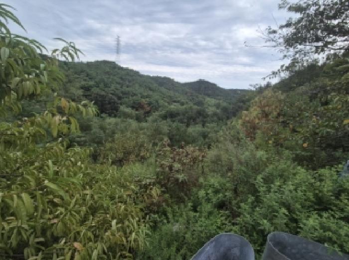 경북 포항시 북구 흥해읍 임야 경매 물건 사진 3 · 2025타경4062
