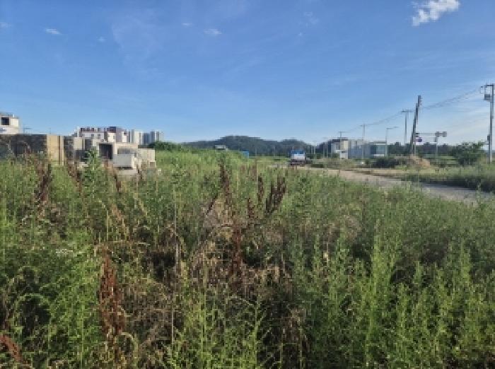 경북 포항시 남구 동해면 전 경매 물건 사진 2 · 2025타경410