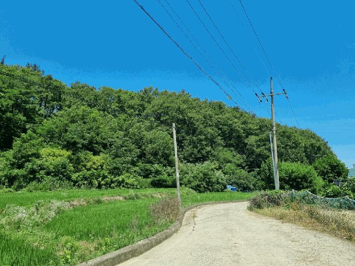 경상북도 포항시 남구 대송면 장동리 산73-31 임야 경매 물건 사진
