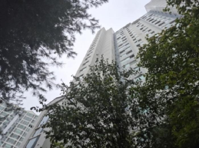 경북 포항시 북구 장성동 아파트 경매 물건 사진