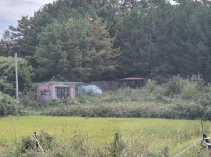 경북 포항시 북구 장성동 근린시설 경매 물건 사진