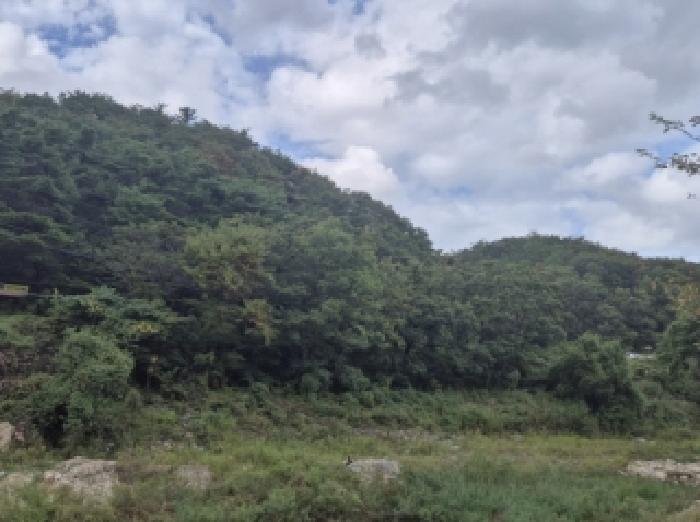 경북 포항시 남구 오천읍 임야 경매 물건 사진