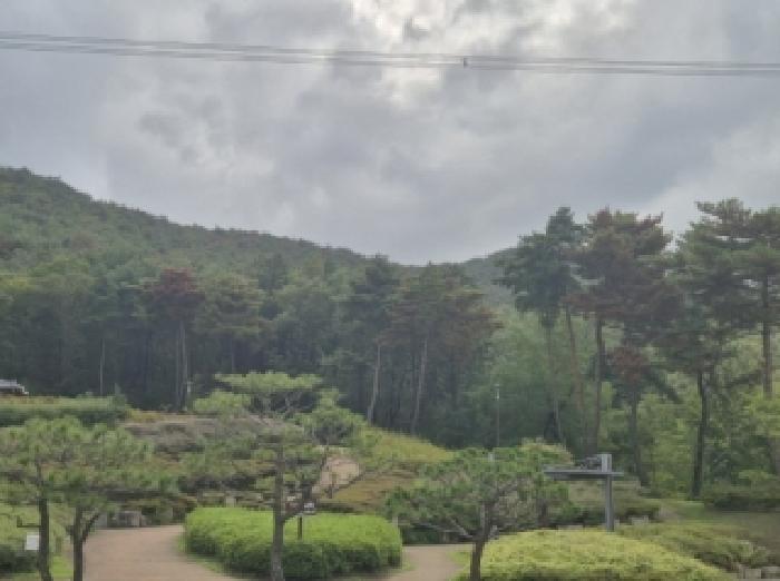 경북 포항시 남구 오천읍 임야 경매 물건 사진 3 · 2025타경4170