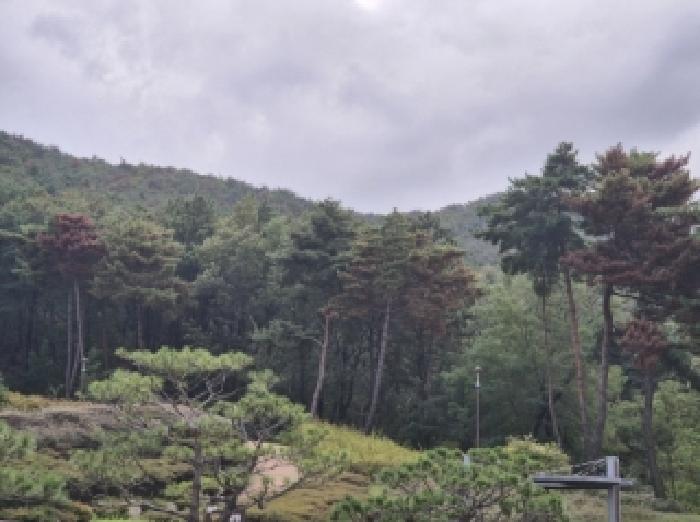 경북 포항시 남구 오천읍 임야 경매 물건 사진 4 · 2025타경4170