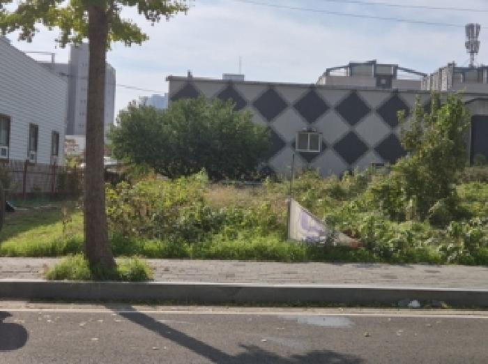 경북 포항시 북구 장성동 대지 경매 물건 사진 2 · 2025타경4208