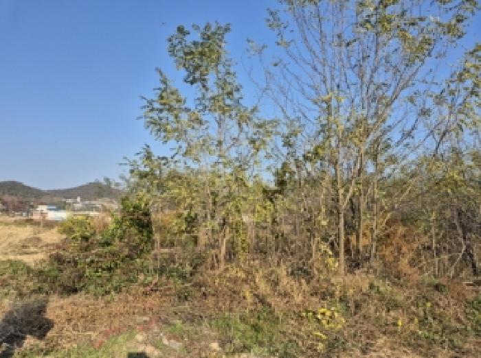 경북 포항시 북구 흥해읍 단독주택 경매 물건 사진