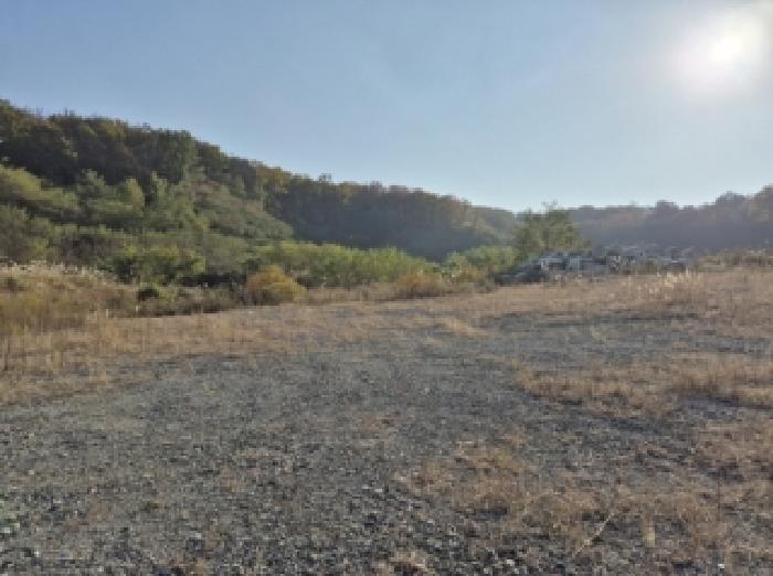 경북 포항시 북구 흥해읍 답 경매 물건 사진 5 · 2025타경4250
