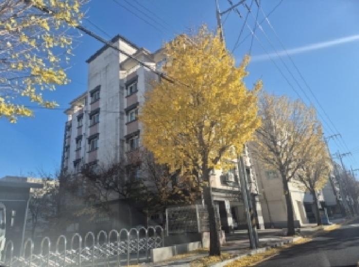 경북 포항시 북구 장성동 다세대 경매 물건 사진