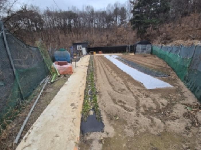 경북 포항시 북구 기계면 대지,임야,전답 경매 물건 사진