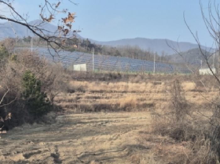 경북 포항시 북구 신광면 대지,임야,전답 경매 물건 사진