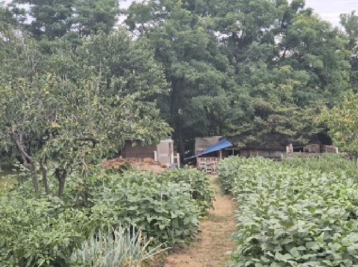 경북 포항시 북구 기계면 단독주택 경매 물건 사진 5 · 2025타경455