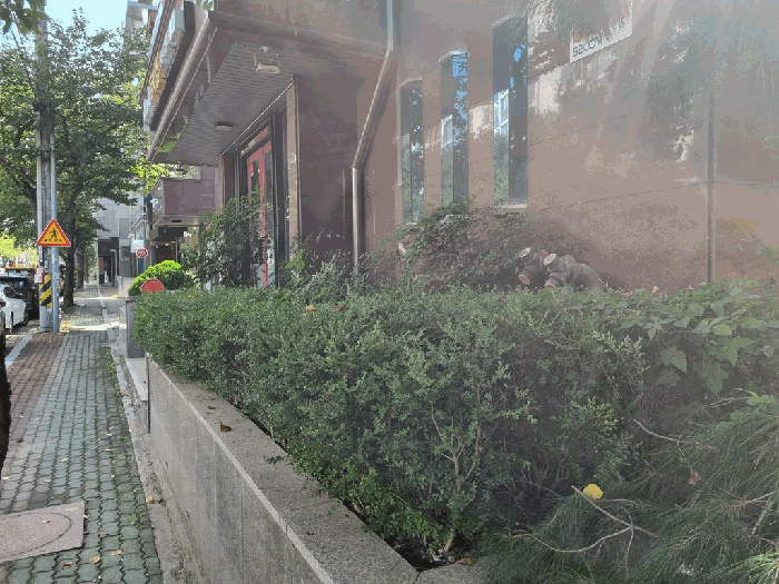경북 포항시 북구 두호동 주/상용건물 경매 물건 사진 6 · 2025타경489