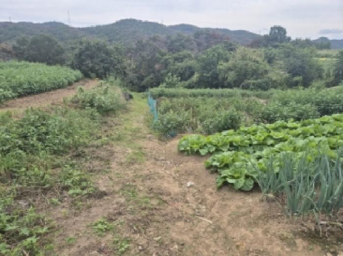 경북 포항시 남구 장기면 전답 경매 물건 사진