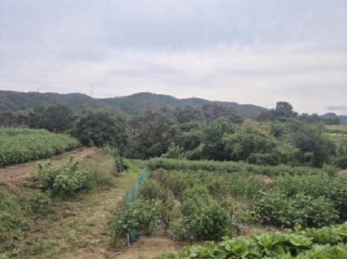 경북 포항시 남구 장기면 전답 경매 물건 사진 2 · 2025타경527