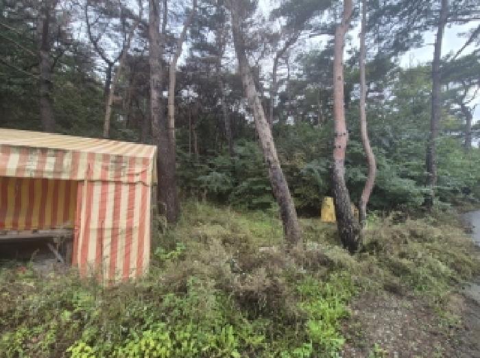 경북 포항시 북구 흥해읍 임야 경매 물건 사진 2 · 2025타경528