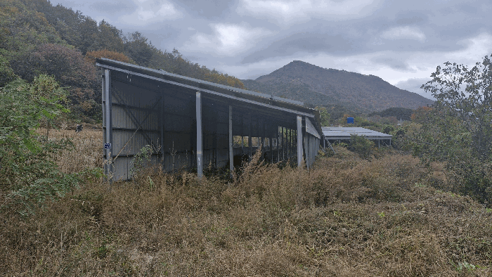 경북 포항시 북구 죽장면 동물및식물관련시설 경매 물건 사진 5 · 2025타경542