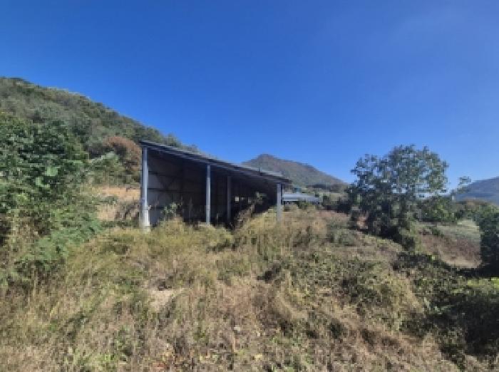 경북 포항시 북구 죽장면 동물및식물관련시설 경매 물건 사진