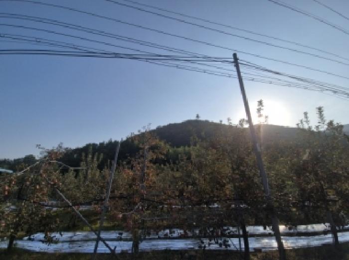 경북 포항시 북구 기계면 전답 경매 물건 사진
