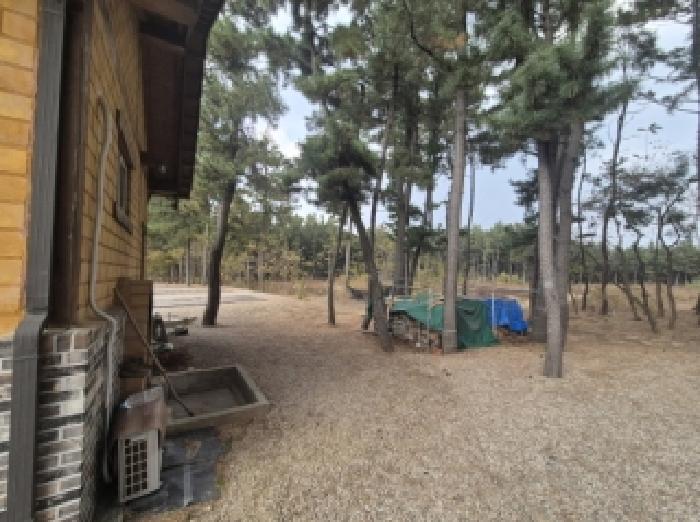 경북 포항시 북구 송라면 임야 경매 물건 사진 2 · 2025타경559