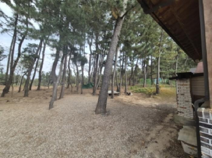 경북 포항시 북구 송라면 임야 경매 물건 사진 5 · 2025타경559