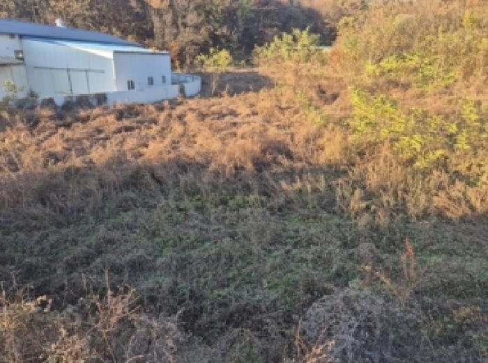 경북 포항시 북구 기북면 전답 경매 물건 사진 2 · 2025타경565