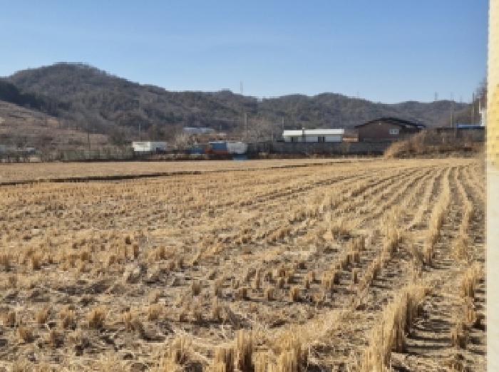 경북 포항시 북구 청하면 대지,임야,전답 경매 물건 사진