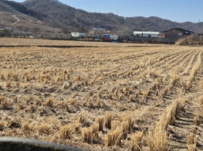 경북 포항시 북구 청하면 대지,임야,전답 경매 물건 사진 2 · 2026타경3031
