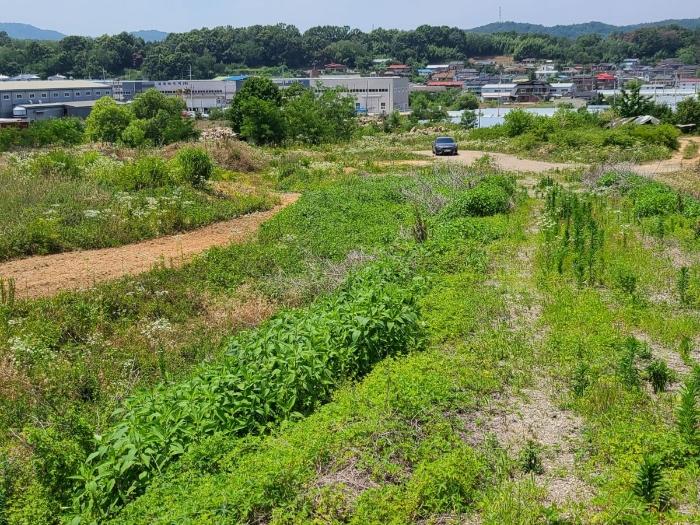 경북 성주군 선남면 전 경매 물건 사진 3 · 2024타경2248
