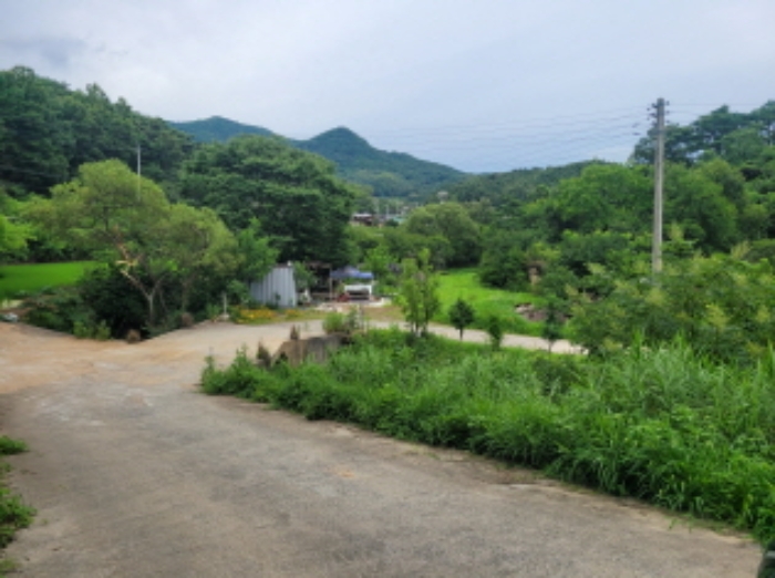 경북 성주군 월항면 답 경매 물건 사진