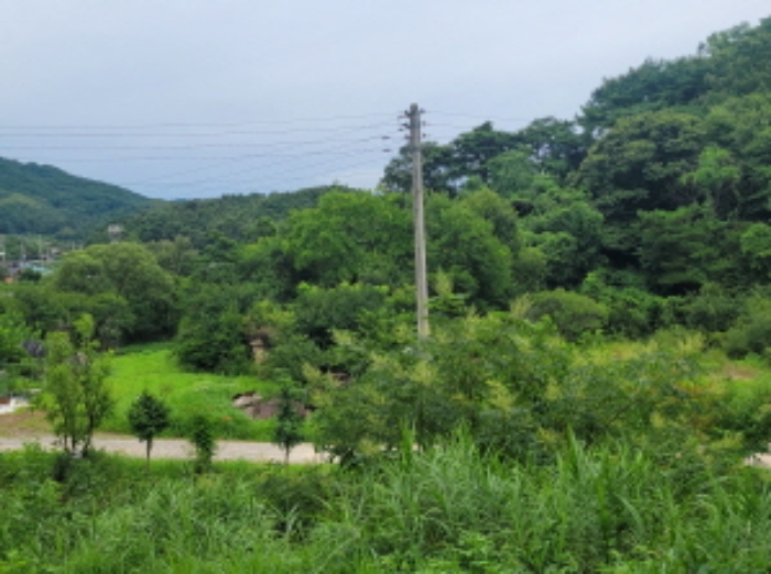 경북 성주군 월항면 답 경매 물건 사진 5 · 2024타경2675