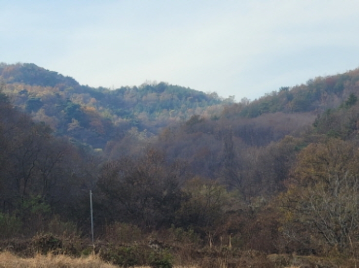 경북 성주군 용암면 임야 경매 물건 사진 5 · 2024타경41977