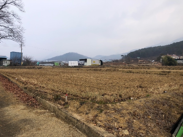 대구광역시 달성군 유가읍 도의리 568 답 경매 물건 사진