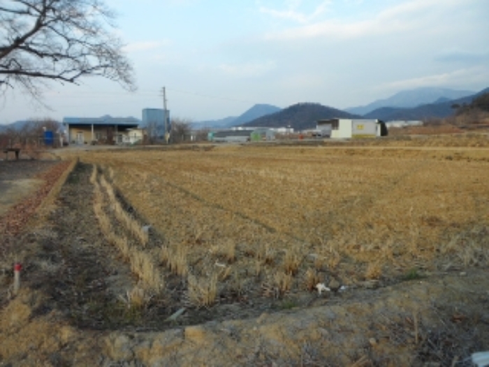 대구 달성군 유가읍 답 경매 물건 사진