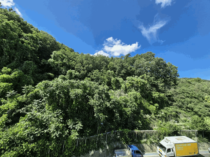 대구광역시 달서구 이곡동 산26 임야 경매 물건 사진