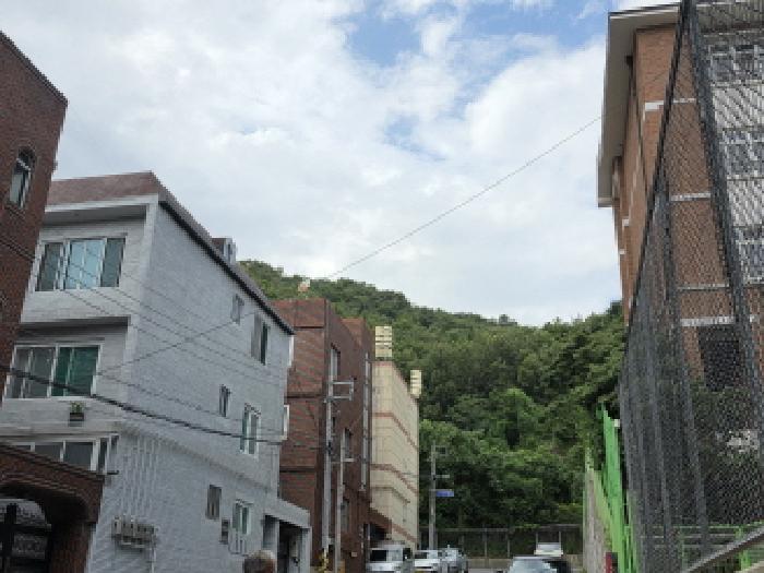 대구 달서구 이곡동 임야 경매 물건 사진