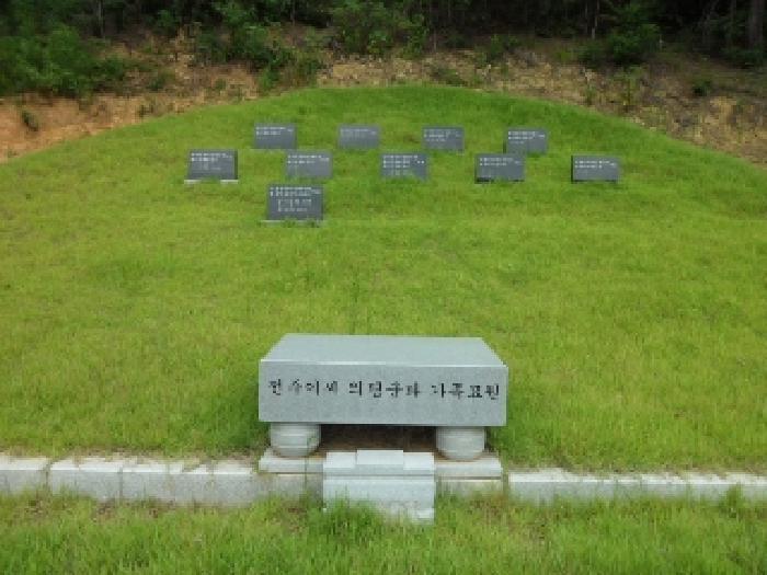 경북 고령군 개진면 임야 경매 물건 사진 6 · 2025타경1945