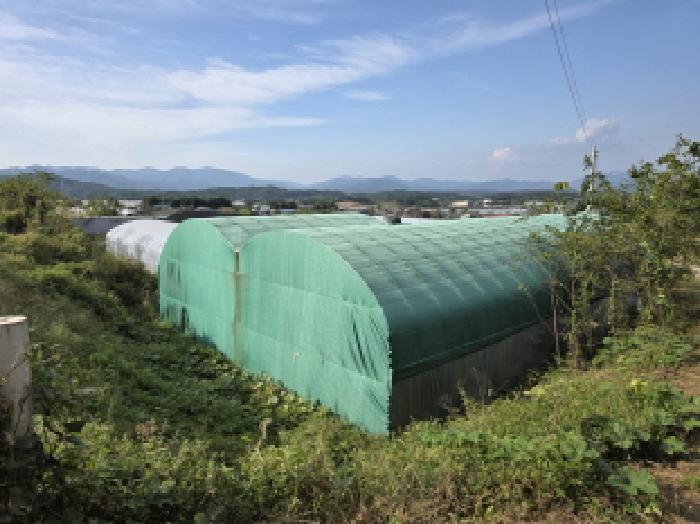 경북 성주군 성주읍 전답 경매 물건 사진