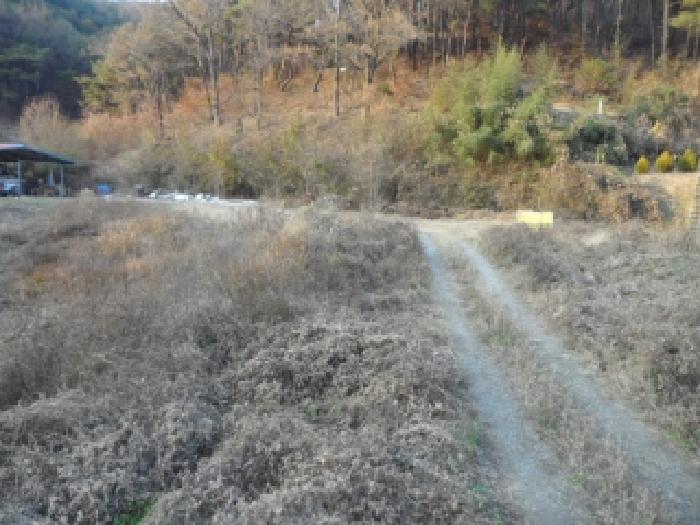 경북 고령군 개진면 답 경매 물건 사진 5 · 2025타경2948