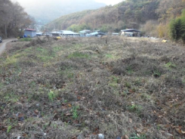 경북 고령군 개진면 답 경매 물건 사진 6 · 2025타경2948