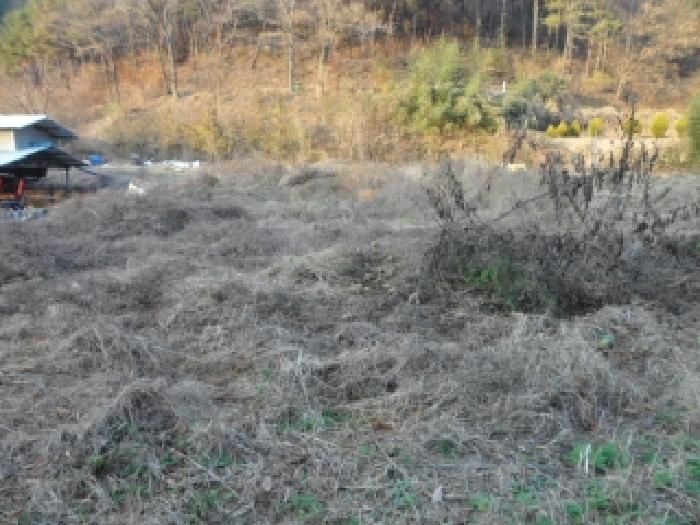 경북 고령군 개진면 답 경매 물건 사진