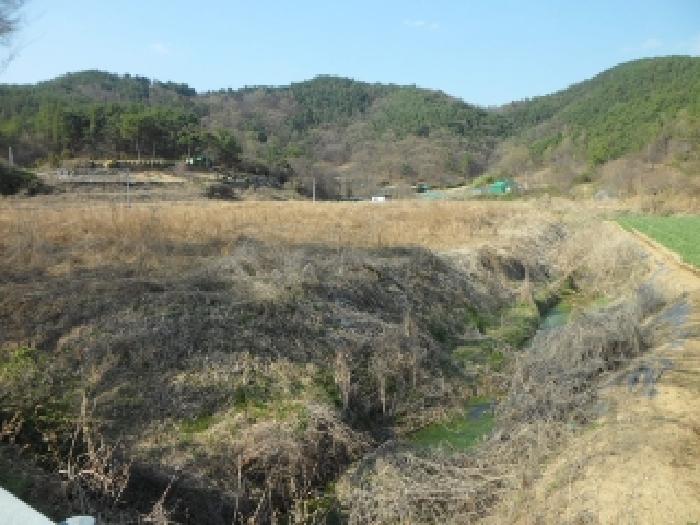 대구 달성군 구지면 답 경매 물건 사진