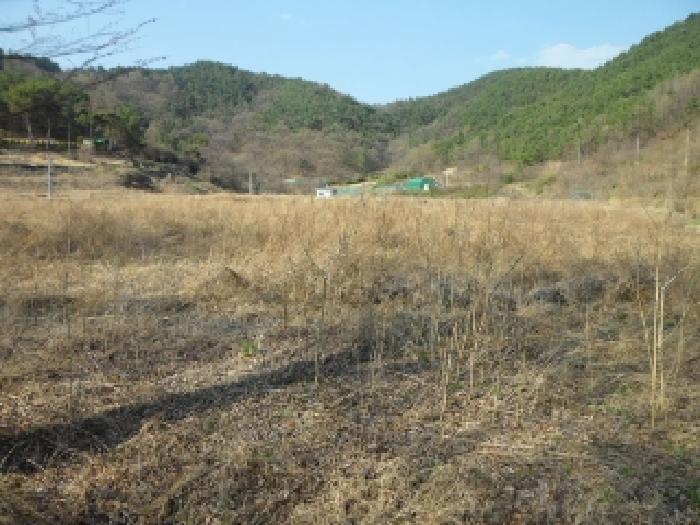 대구 달성군 구지면 답 경매 물건 사진 2 · 2025타경30978