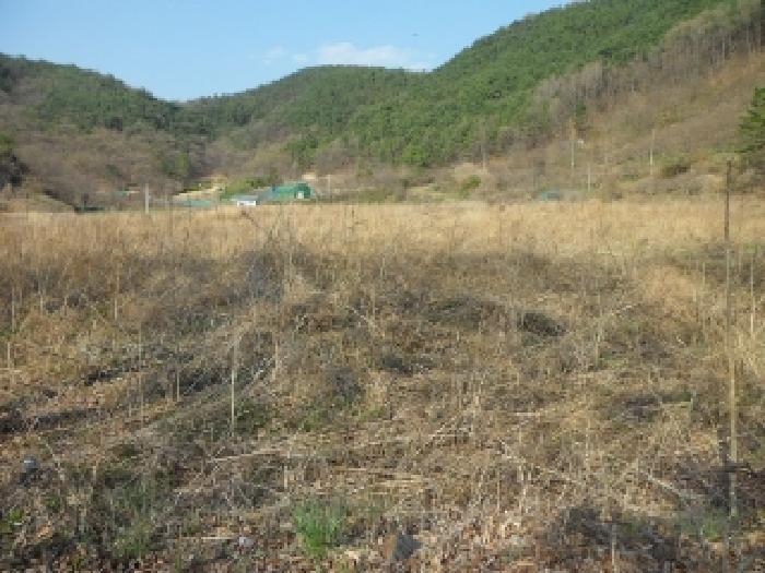 대구 달성군 구지면 답 경매 물건 사진 3 · 2025타경30978